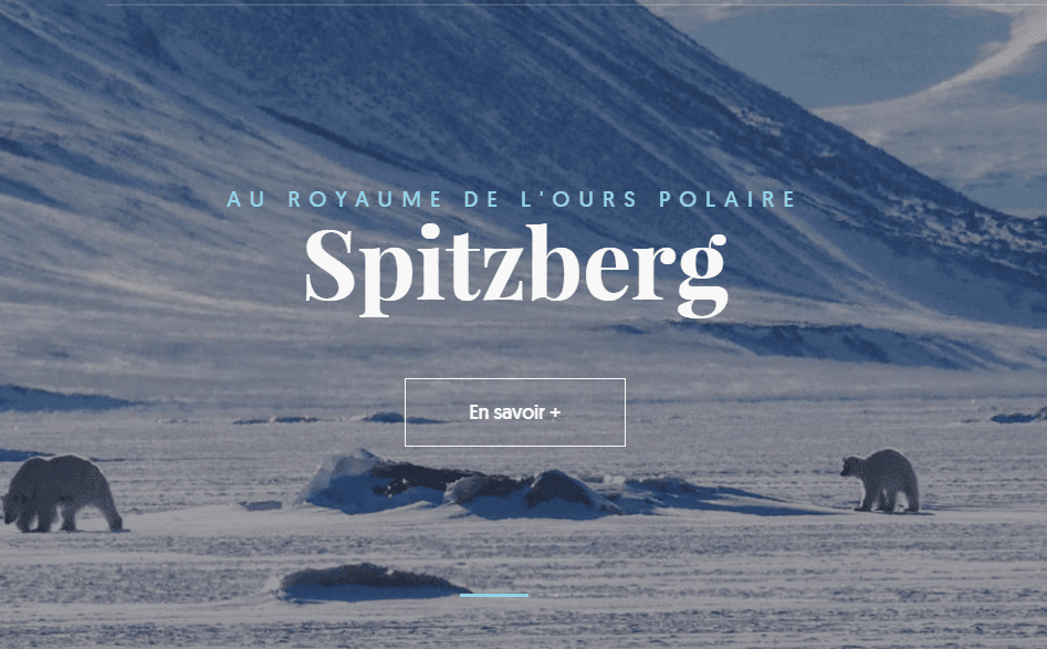 Custom website design showcase